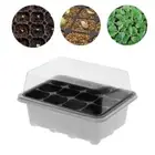 Germinating Box Lids Office Sprout Plate Nursery Pots Grow Base Planting Tray