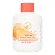 [HOLIFROG] Sunapee Sacred C Powder Wash Cleanser