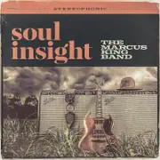 Soul Insight (Import)
