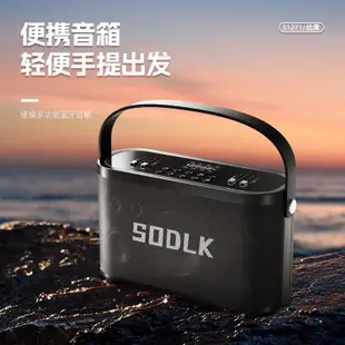 sodlk聲萊客新款280w戶外大功率音箱k歌樂器無線音響