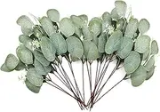 20 Pcs Eucalyptus Artificial Flowers, Plastic Eucalyptus Stem Leaves Branches, Decorative Faux Fake Green Eucalyptus Bouquets Foliages Plants for Wedding, Garden, Home, Outdoor Indoor Decoration