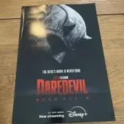 Daredevil Born Again Poster 13 x 19 Disney Plus Charlie Cox!!