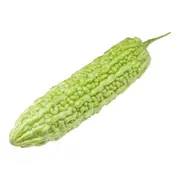 Bitter Melon - Canton Green F1 seeds