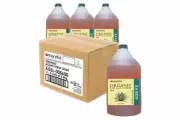 Agave Syrup / Nectar - Light - Carton 4 x 5.6kg - Organic