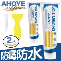 在飛比找momo購物網優惠-【AHOYE】防霉防水壁癌裂縫補牆膏120g 兩入組 付刮板