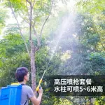 電動噴霧器農用充電高壓背負式智慧農藥噴灑農藥機噴藥果樹打藥機QM 全館免運