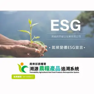 【無藏茗茶】四入祝福禮盒-福客盈門(茶葉禮盒/畢業禮物/祝賀禮盒/附提袋)