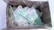 First Mark Enzymatic Floor Cleaner 2 US ounce packet (59 millilites)