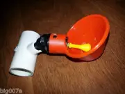 100 Automatic Poultry or Game Bird Water Cups with 1/2" PVC Tee