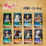 ★CHERRY BEAR 寵物館★紐頓均衡健康【犬糧】2~11.4KG 幼犬 成犬 老犬 雞肉 羊肉 燕麥 蘋果 南瓜