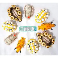 在飛比找蝦皮商城優惠-OCEANARIUM 海蛞蝓 造型磁鐵 (軟陶)