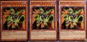 x3 Raidraptor Wild Vulture DOCS-EN013