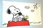 Pottery Barn Peanuts Kids Snoopy gift Woodstock Holiday Pillow Cover Valentine's