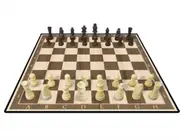 Kasparov Wood Chess Set-Board Game: Chess
