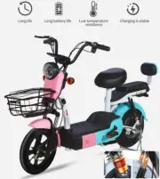 1500W Electric Motorcycle Double Electric Bicycle Adult Two-Wheeled Vehicle 48V
