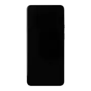 OLED Frame Assembly for OnePlus 9 International Arctic Sky Premium Screen