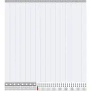 Strip Curtain PVC Door Curtain 244 x 244 cm Cooler Freezer Clear Plastic
