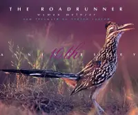 在飛比找博客來優惠-The Roadrunner