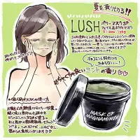 在飛比找Yahoo!奇摩拍賣優惠-日本 Lush 薄荷清爽面膜 Mask Of Magnami