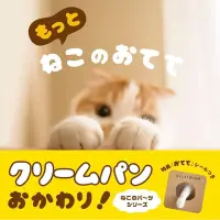 在飛比找蝦皮購物優惠-【日本正版，台灣現貨】貓咪的手手2もっとねこのおてて日本原版
