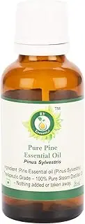 R V Essential Pure Pine Essential Oil 10ml (0.338oz)- Pinus Sylvestris (100% Pure and Natural Steam Distilled)