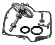 2025 WJTG Briggs & Stratton Camshaft 793880 793583 792681 791942 795102 Cam Replacement Kit With 795387 Oil Seal And 697110 Crank Seals - JxlgvJ