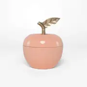 Rayell Decor Adam Peach Home Decor Jewellery/Trinket/Key Storage Box 8x10x8cm