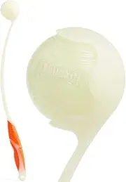 Chuckit! Chuckit Pro Fetch Toy Ball Launcher for Dogs; Compatible with Any Ball of The Same Size, Medium 25 Inch + Glow Ball