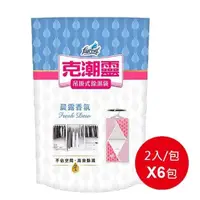 在飛比找PChome24h購物優惠-【花仙子】★ 克潮靈吊掛除濕袋 晨露香氛 200ML 2入x