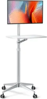 Adjustable Portable Mobile Rolling Laptop Floor Standing Table Computer Stand