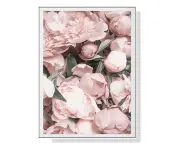 Peony White Frame Poster