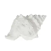 Belle Polyresin Sammy Sea Snail Sculpture/Ornament Home Decor 21x14cm White