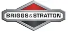 Piston Engine Lawn Mower Original Briggs & Stratton 795429