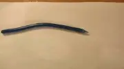 40 Midnight Blue 5.25" Drop Shot Worms