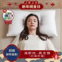 在飛比找momo購物網優惠-【Dpillow】抗菌防蹣減鼾枕頭-高支撐(奈米氧化鋅纖維)