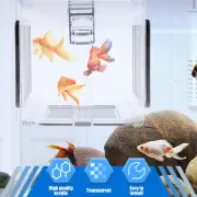 Fish Breeding Box Clear Fish Isolation Box Acrylic Hanging Fish Incubator LVI