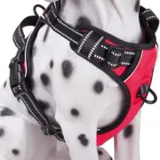 PoyPet No Pull Dog Harness, Reflective Comfortable Vest Harness Size M