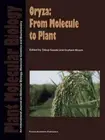 Oryza: From Molecule to Plant by Takuji Sasaki (English) Paperback Book