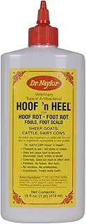16OZ Top Antibacterial