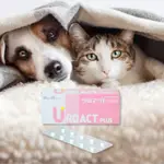 日本全藥 UROACT PLUS 泌尿加強錠 升級版 犬貓用 公司貨