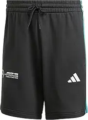 adidas Men's Mercedes-AMG Petronas Formula One Team Shorts