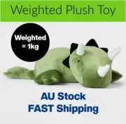 Weighted Dinosaur Toy 2kg – Sensory Calming Plush for Kids Anxiety Autism ADHD
