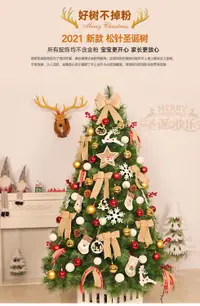 在飛比找樂天市場購物網優惠-聖誕樹 2021豪華加密聖誕樹套餐擺件大型聖誕節裝飾松針樹家