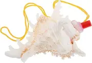 UPKOCH Large Natural Conch Shell Horn Decorative Blowing Whistle for Children Adults