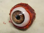 HALLOWEEN HORROR PROP EYEBALL POPPERS for skull or mask Light Brown