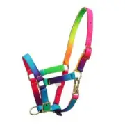 Rancher Rainbow Foal Halter