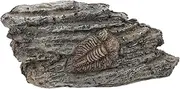 HEALEEP Resin Trilobite Specimen Ornament Decorative Paleontological Trilobite for Teaching Collection Unique Decoration for Landscape and Science Use
