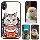 For iPhone XS 11 12 13 14 15 16 Pro Max super fat Himalayan cat Fitted Case Skin