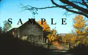 YOU OWN THIS KODACHROME ONE OF A KIND SLIDE - AUTUMN COLORS, VA- 1979