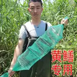 精品 黃鱔籠 1米 加厚 加密 方格網 鱔魚 泥鰍 龍蝦網 小蝦籠 捕鱔籠 長 魚籠